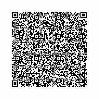 vCard 78175140380