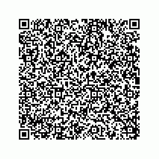 vCard 78175140381