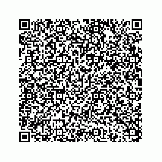 vCard 78175140410