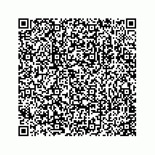 vCard 78175331101