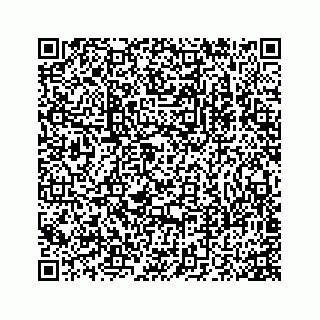 vCard 78175331103
