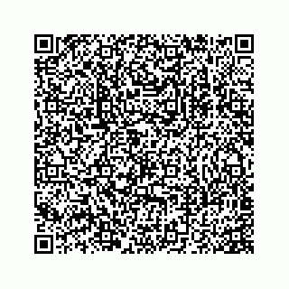 vCard 78175331110