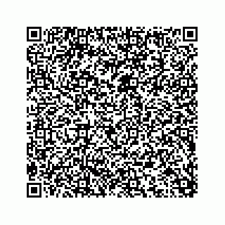 vCard 78175331113
