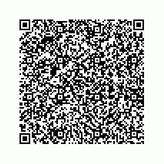 vCard 78175331138