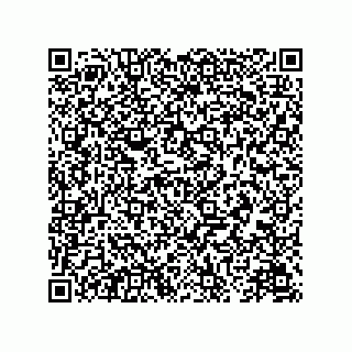 vCard 78175433311