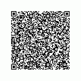 vCard 78175433313