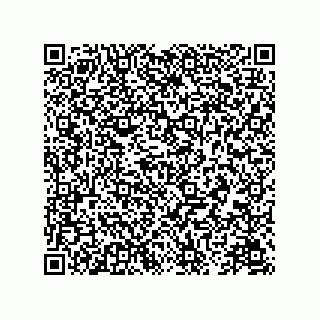 vCard 78175433317