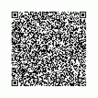 vCard 78182400384