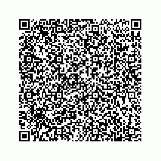 vCard 78182419133