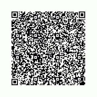 vCard 78182419279