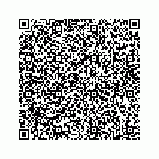 vCard 78182419387