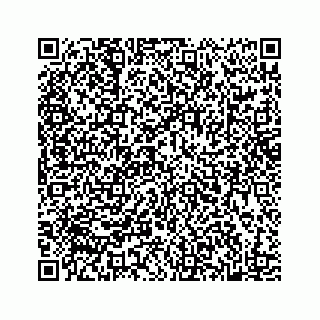 vCard 78182419388