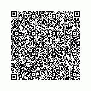 vCard 78182419389