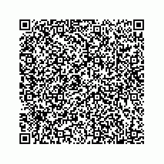 vCard 78182419411