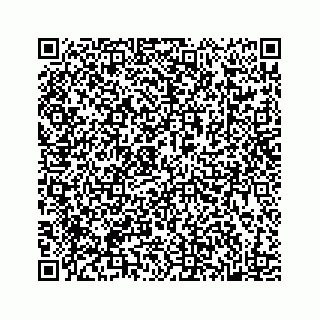 vCard 78182419811