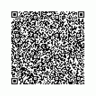vCard 78182460289