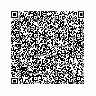 vCard 78182470385