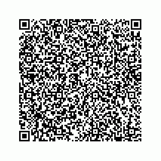 vCard 78182480038