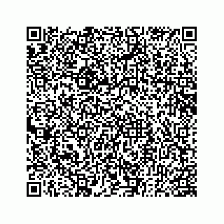 vCard 78182480041
