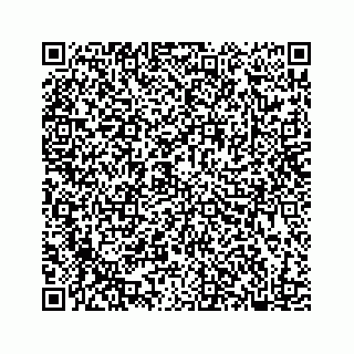 vCard 78182480053