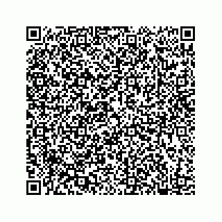 vCard 78182480061