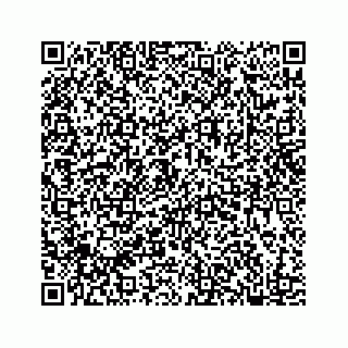 vCard 78182480095