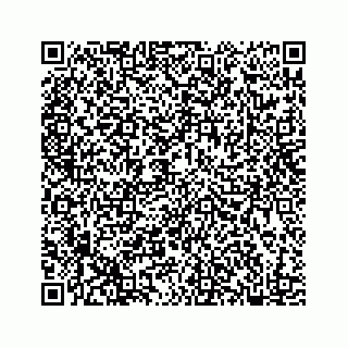 vCard 78182480103