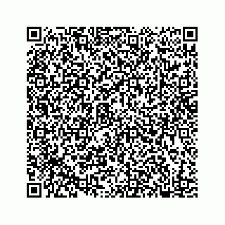 vCard 78182480128