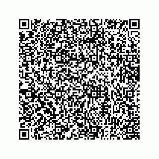 vCard 78182480133