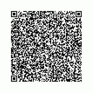 vCard 78182480138