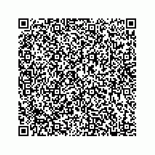 vCard 78182480192