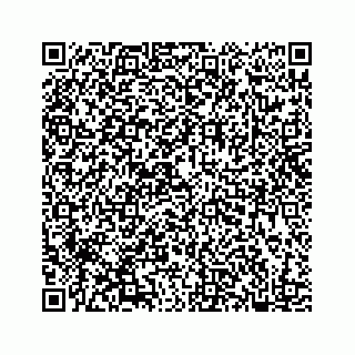 vCard 78182480197