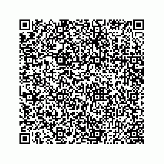 vCard 78182480199