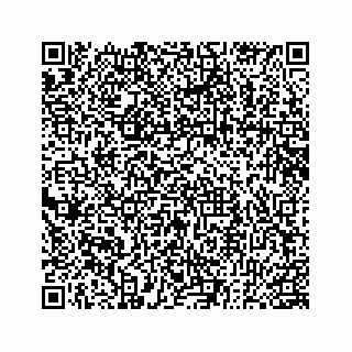 vCard 78182480211