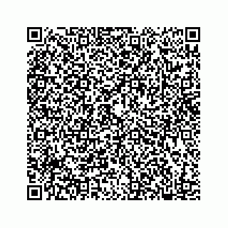 vCard 78182480256