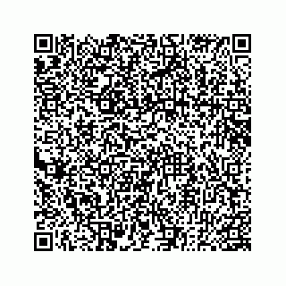 vCard 78182480281