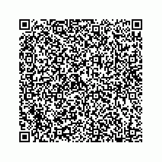 vCard 78182480287