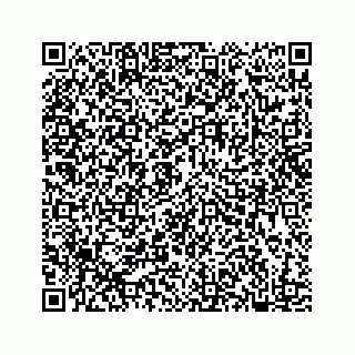 vCard 78182480295