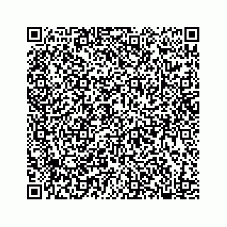 vCard 78182480309