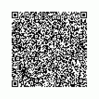 vCard 78182480313
