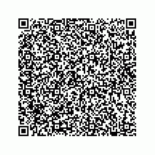 vCard 78182480317