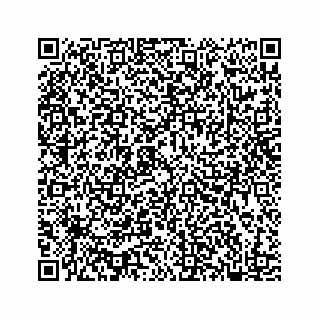 vCard 78182480331