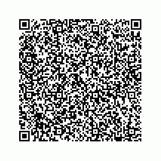 vCard 78182480379