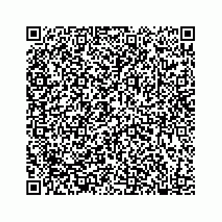 vCard 78182480381
