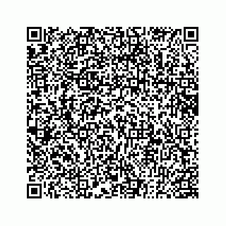 vCard 78182480383