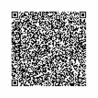 vCard 78182480384