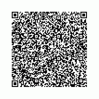vCard 78182480385