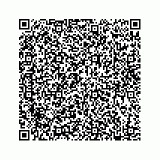 vCard 78182480387