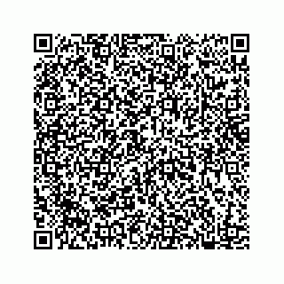 vCard 78182480388