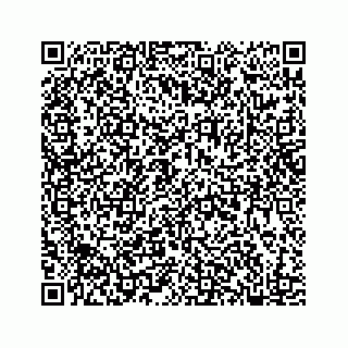 vCard 78182480389